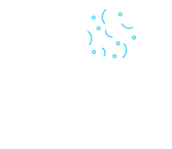 kidney