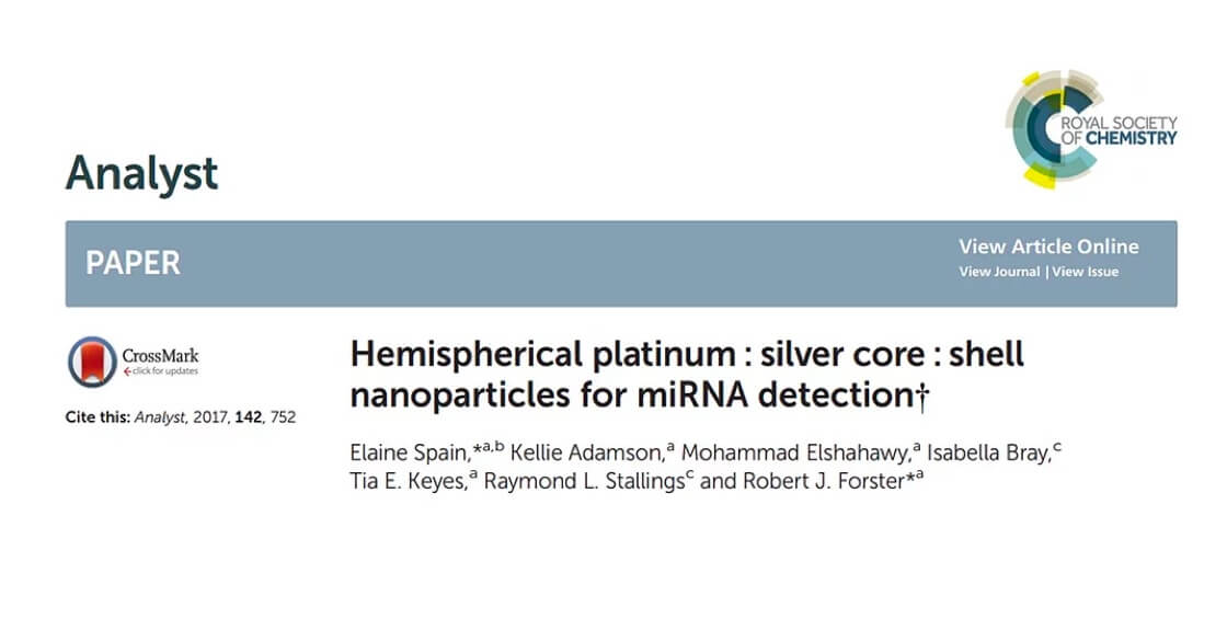 Hemispherical platinum silver core