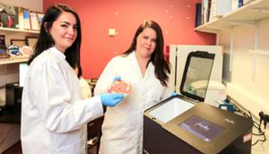 The Septec Technology is highlighted in the Evening Herald 
